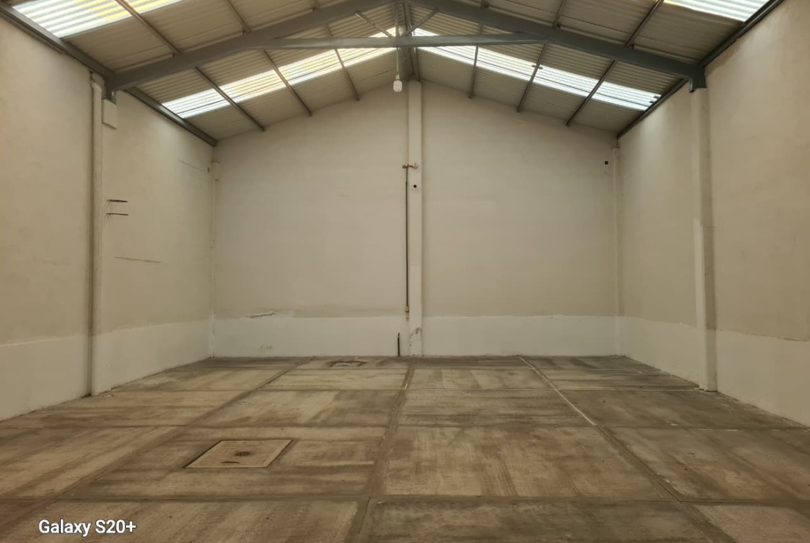 Bodega de 250m