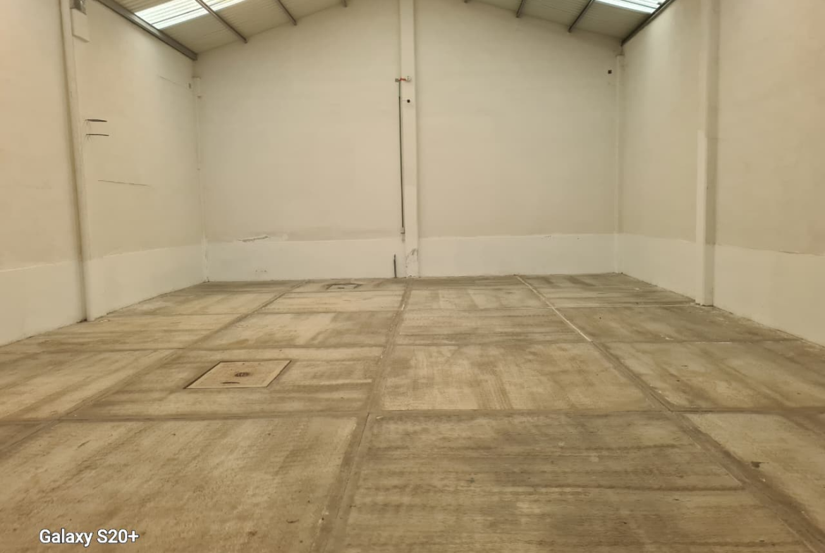 Bodega de 250m