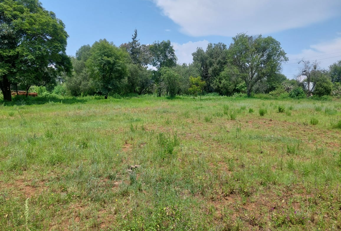 Terreno en VENTA en Huasca de Ocampo, Hidalgo