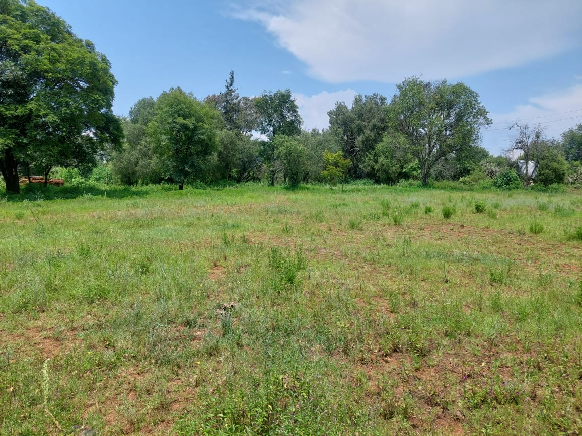 Terreno en VENTA en Huasca de Ocampo, Hidalgo