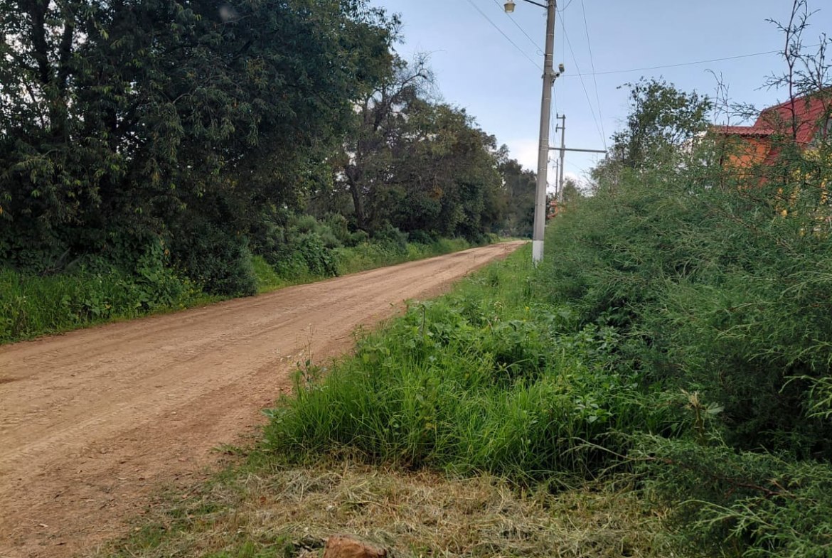 Terreno en VENTA en Huasca de Ocampo, Hidalgo