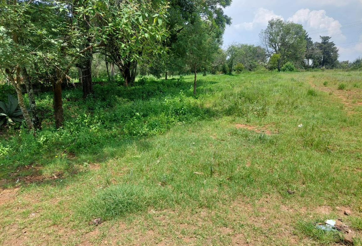 Terreno en VENTA en Huasca de Ocampo, Hidalgo