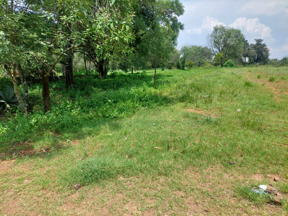 Terreno en VENTA en Huasca de Ocampo, Hidalgo