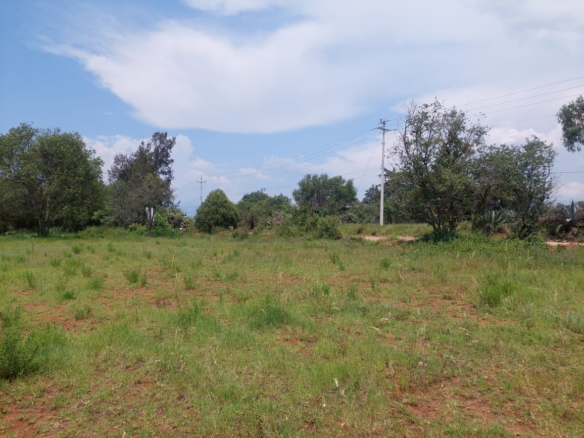 Terreno en VENTA en Huasca de Ocampo, Hidalgo