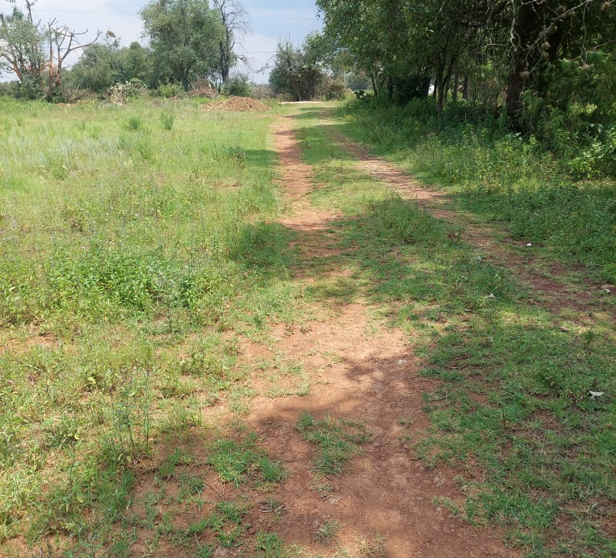 Terreno en VENTA en Huasca de Ocampo, Hidalgo